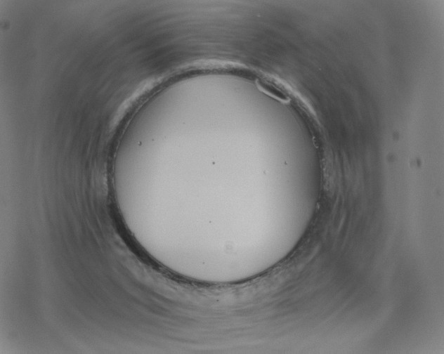 X0000076400015200610271629