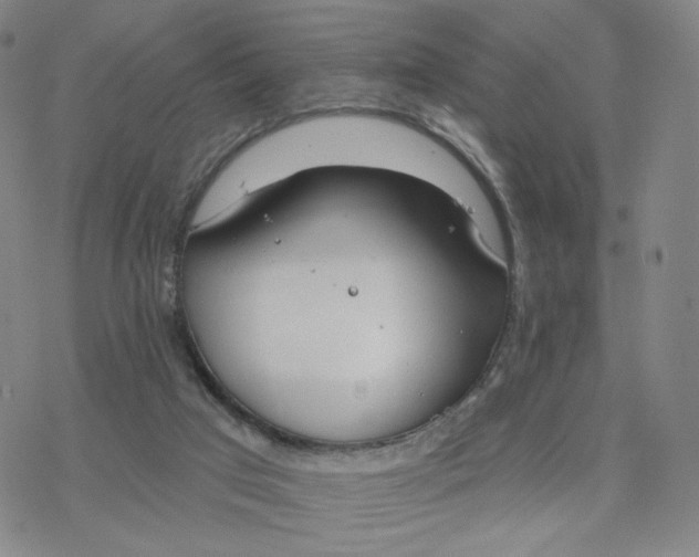 X0000076400017200610271629