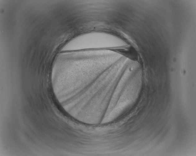 X0000076400018200610271629