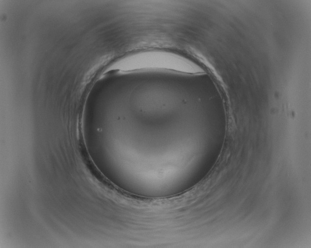 X0000076400019200610271629