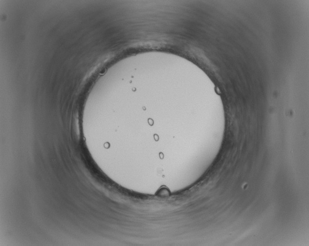 X0000076400020200610271629