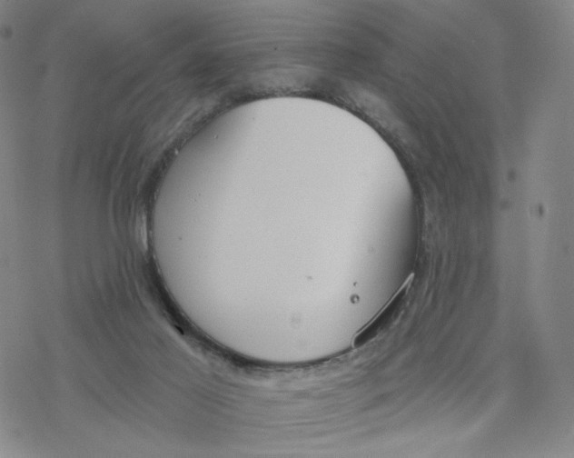 X0000076400021200610271629