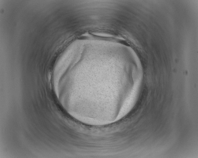 X0000076400022200610271629