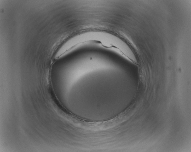 X0000076400023200610271629