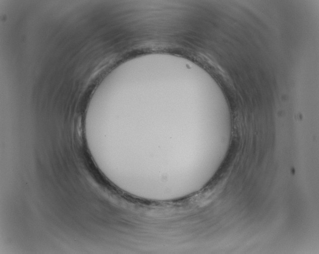 X0000076400024200610271629