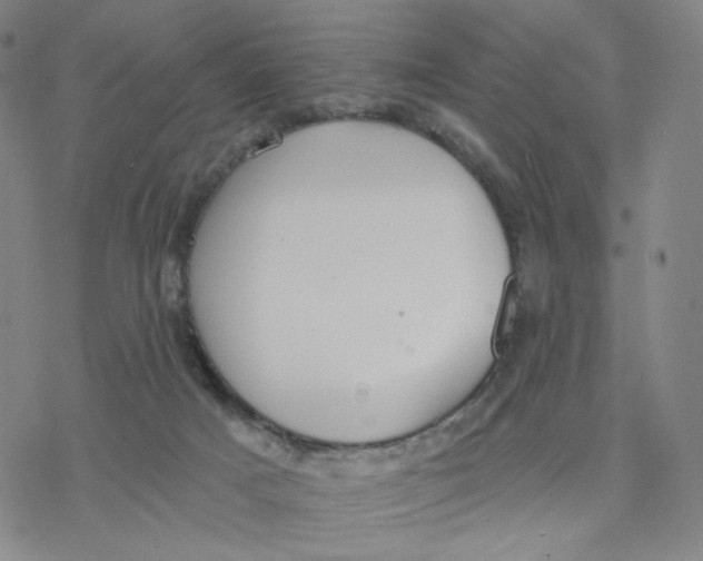 X0000076400025200610271629