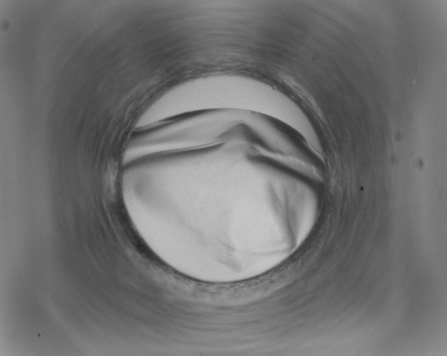 X0000076400026200610271629