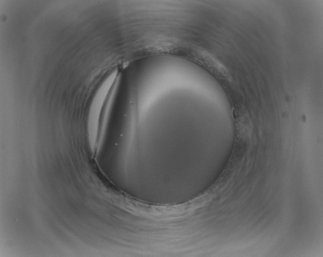 X0000076400027200610271629