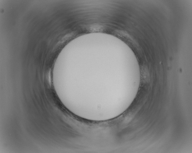 X0000076400028200610271629