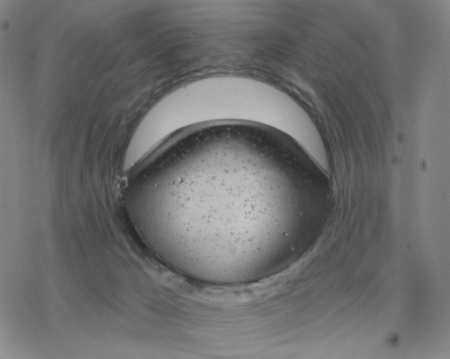 X0000076400029200610271629