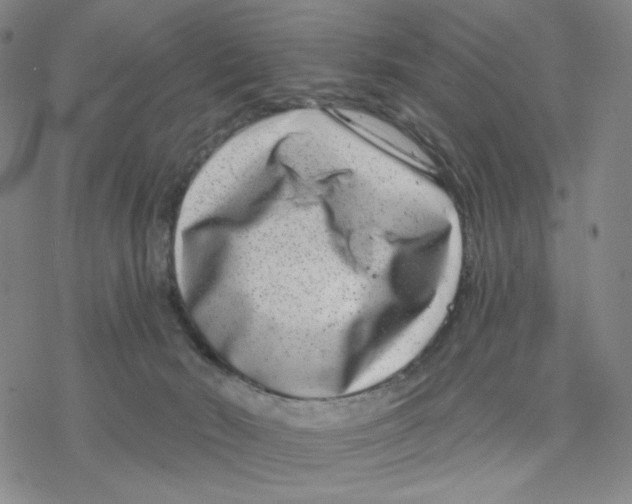 X0000076400030200610271629