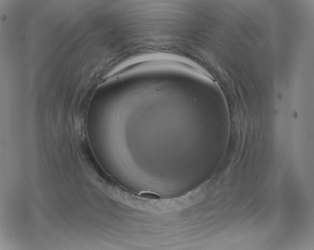 X0000076400031200610271629