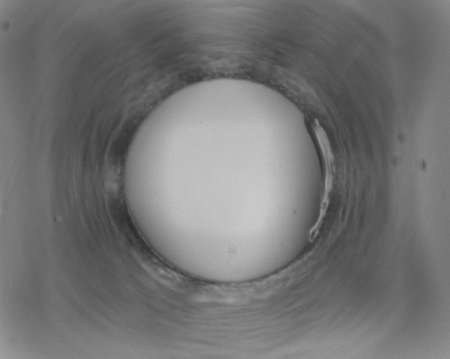 X0000076400033200610271629