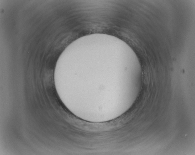 X0000076400034200610271629