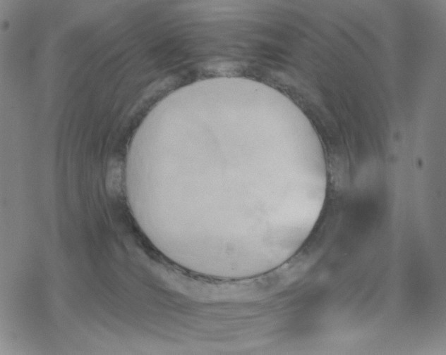 X0000076400036200610271629