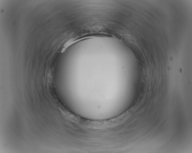 X0000076400037200610271629