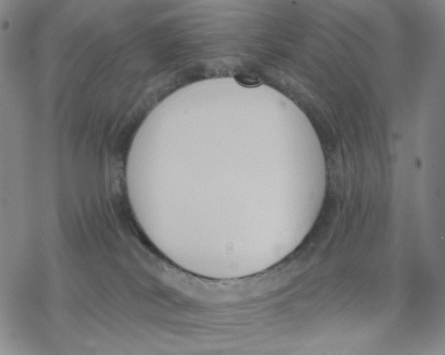 X0000076400038200610271629