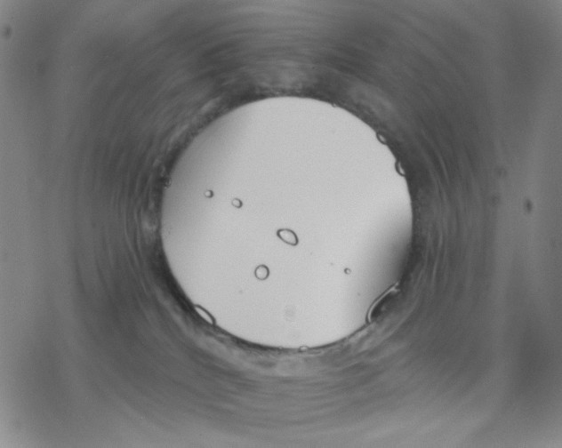 X0000076400040200610271629