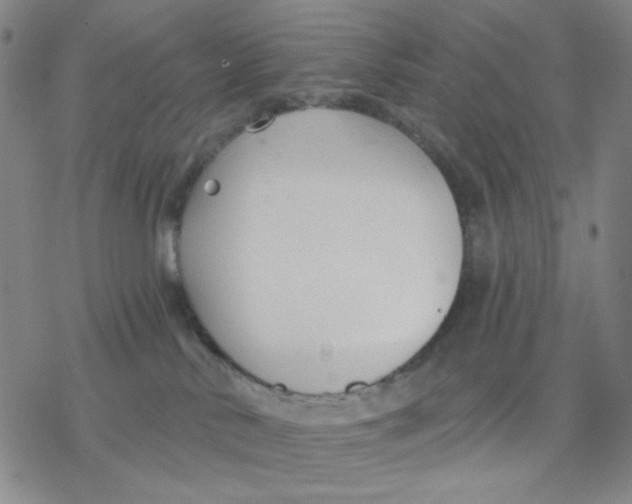 X0000076400042200610271629