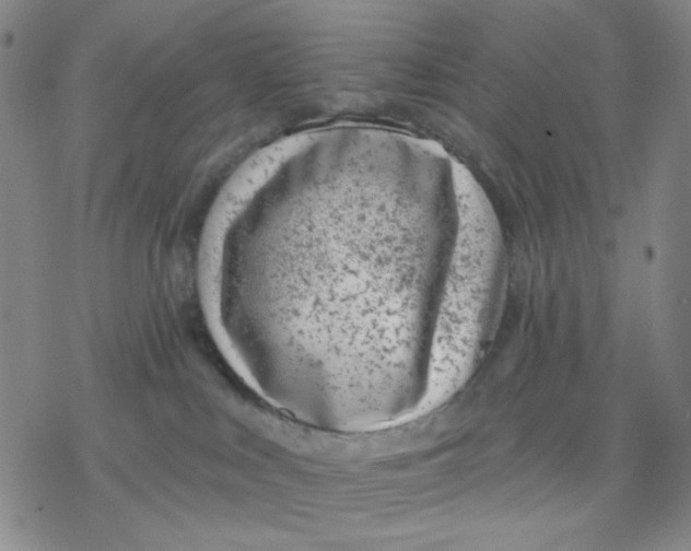 X0000076400043200610271629