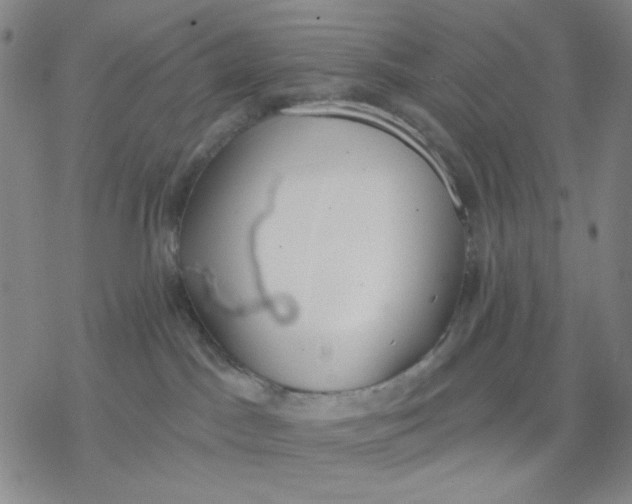 X0000076400045200610271629