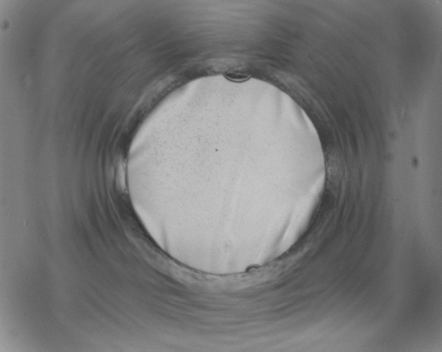 X0000076400046200610271629