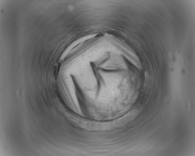 X0000076400048200610271629