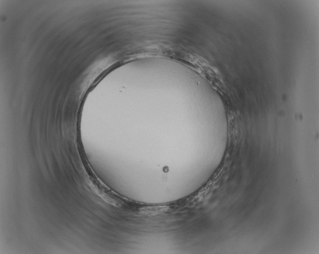 X0000076400051200610271628