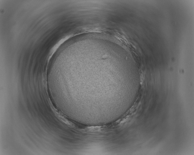 X0000076400052200610271628