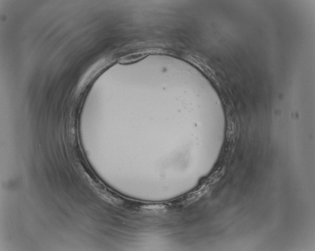 X0000076400053200610271628