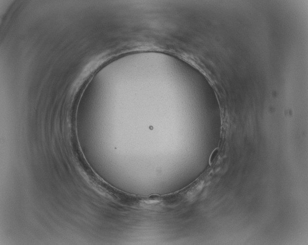 X0000076400055200610271628