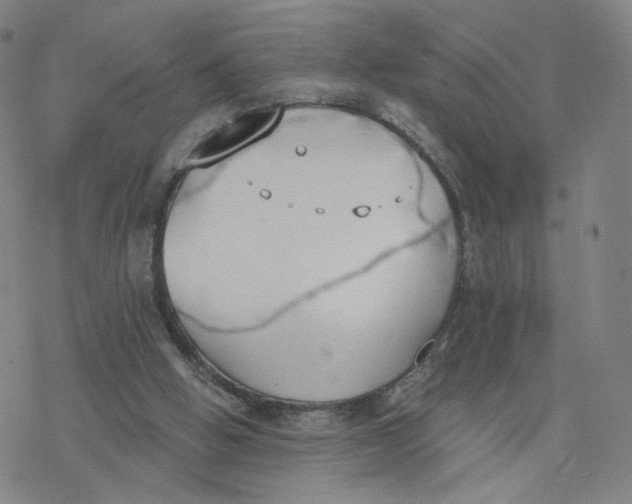 X0000076400058200610271628