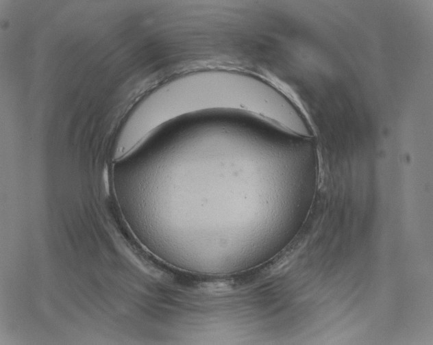 X0000076400061200610271628