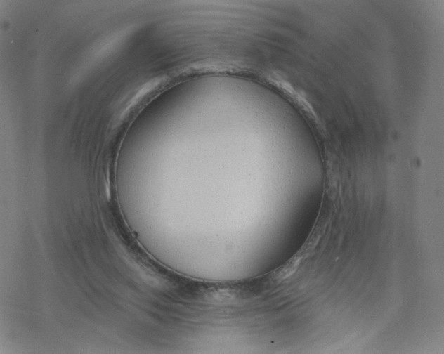 X0000076400062200610271628