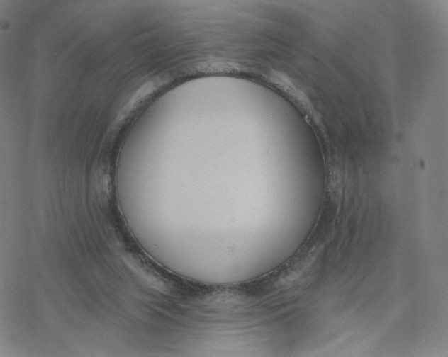 X0000076400063200610271628