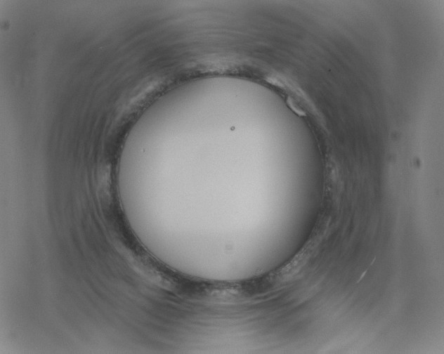 X0000076400066200610271628