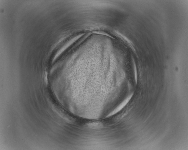 X0000076400067200610271628