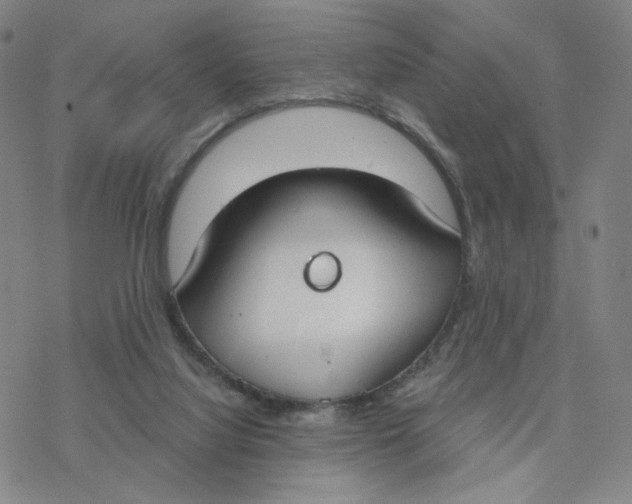 X0000076400068200610271628