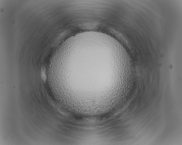 X0000076400069200610271628