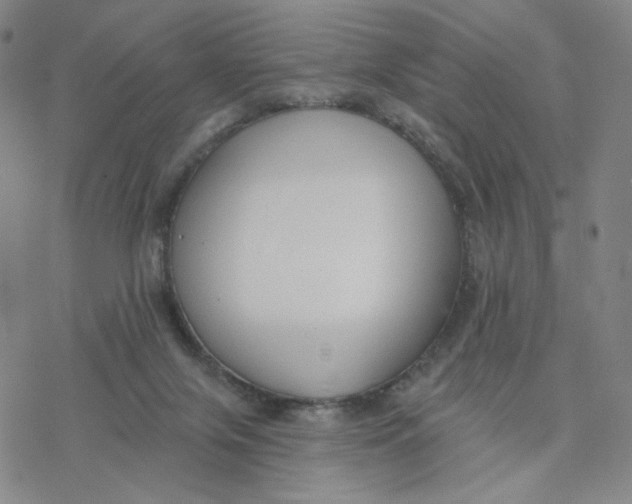 X0000076400071200610271628