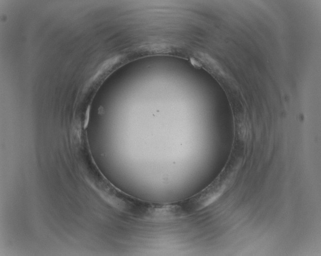 X0000076400072200610271628