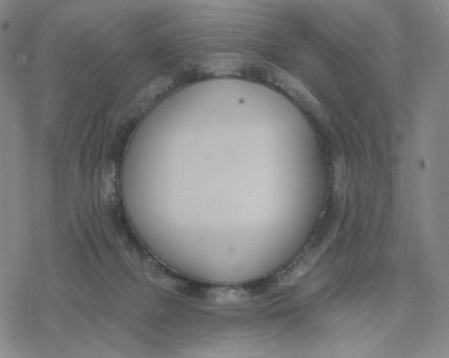 X0000076400073200610271628