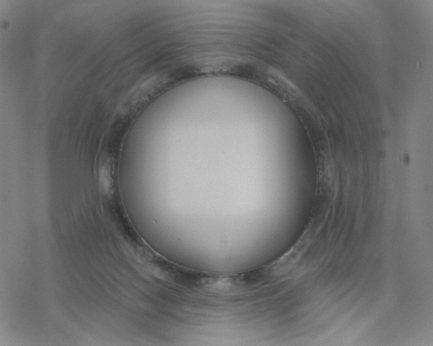 X0000076400074200610271628