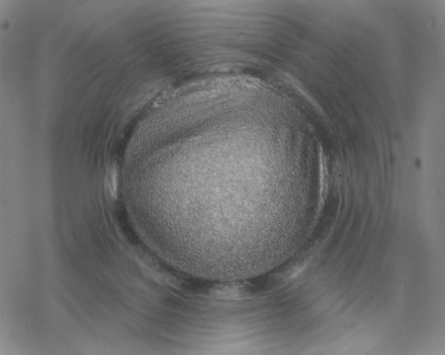 X0000076400076200610271629