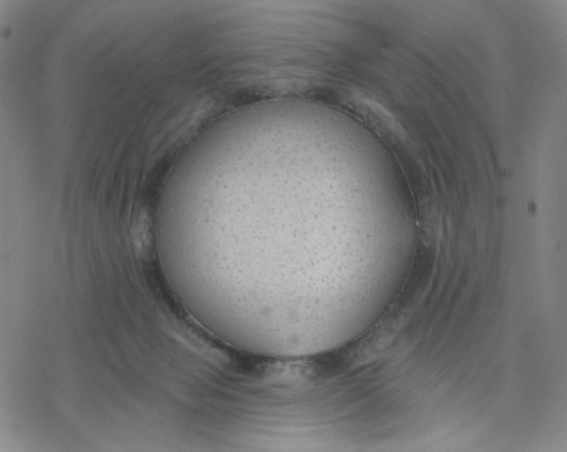 X0000076400077200610271629