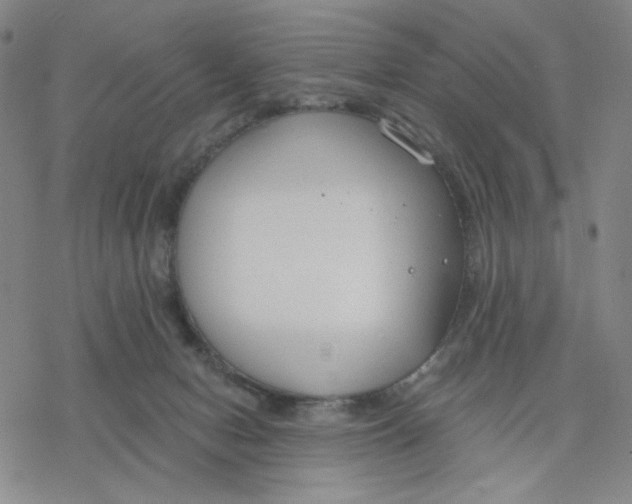 X0000076400078200610271629