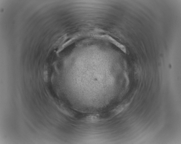 X0000076400080200610271629