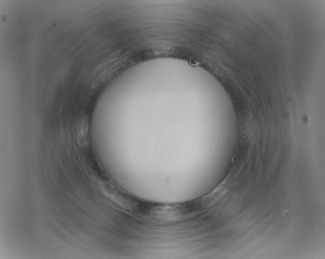 X0000076400082200610271629