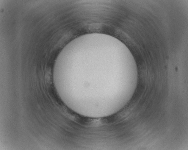 X0000076400083200610271629