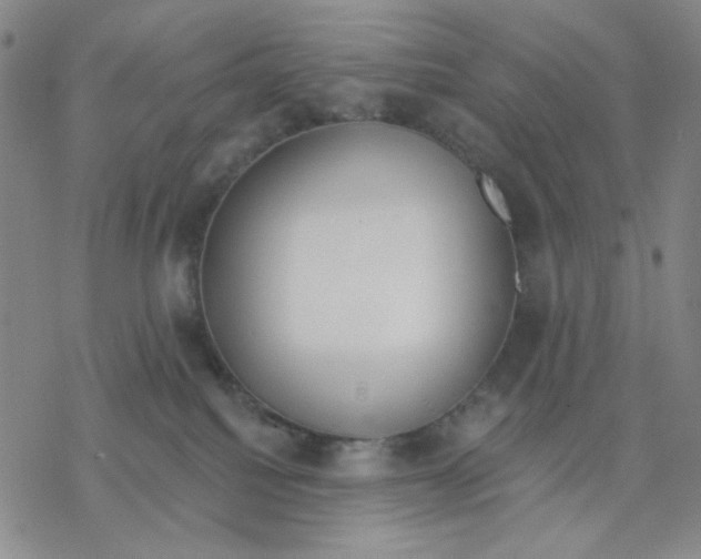 X0000076400088200610271629